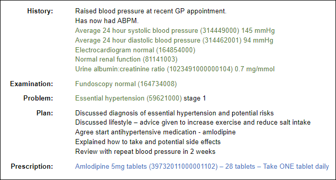 Example consultation with clinical coding