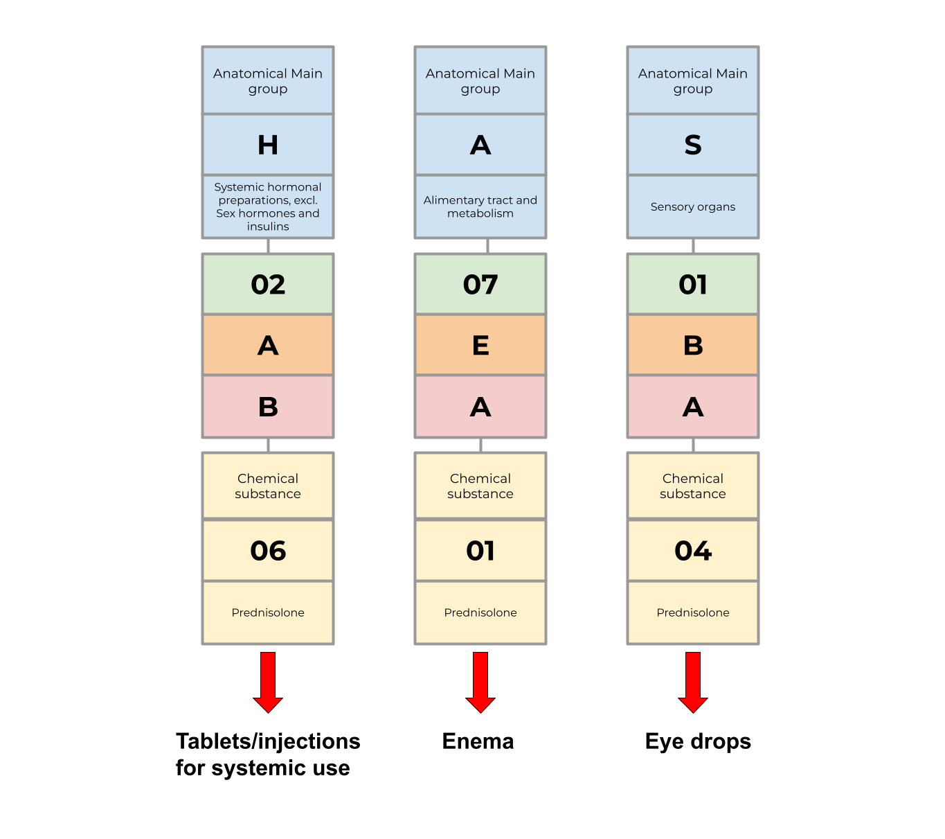 Example of multiple ATC codes for prednisolone